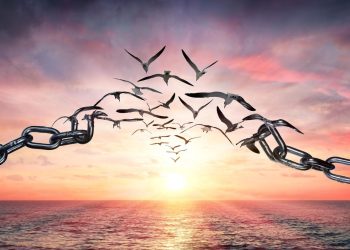 DC Superior Court Giving Second Chances To Prisoners