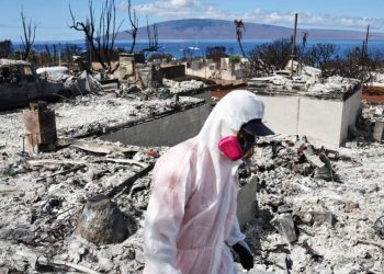 Insurance Stocks Look Attractive Now. Metlife and 5 Other to Consider.