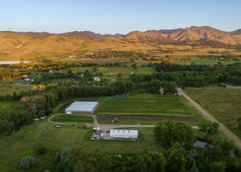 Boulder County’s Largest Flower Farm Comes To Market At $9.75 Million