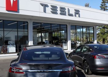 Tesla Stock Had a Horrible Day. Here’s What Comes Next.