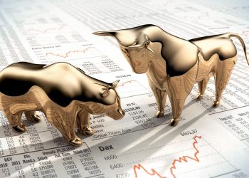 Bull Market? Bear Market? Something Else? What Should Investors DO?