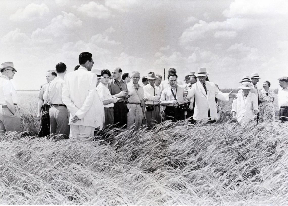 Securing key supplies of food like wheat to a world in escalating turmoil and war is a must and will lead to significant stockpiling demandn