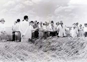 Securing key supplies of food like wheat to a world in escalating turmoil and war is a must and will lead to significant stockpiling demandn