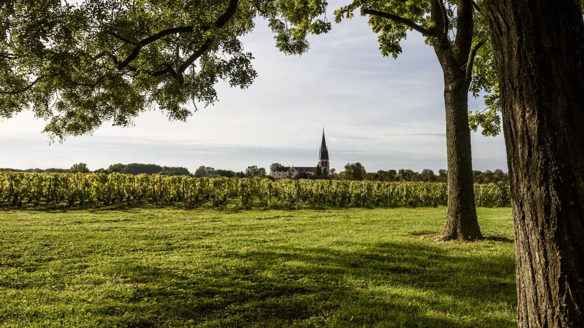 An Independent Champagne House With Sparkling Sustainability Practices