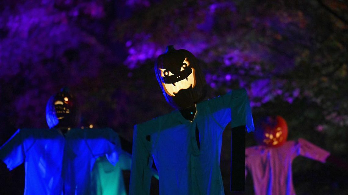 How stock-market investors can ride out a ‘fear cycle’ as S&P 500, Nasdaq fall into correction