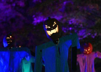 How stock-market investors can ride out a ‘fear cycle’ as S&P 500, Nasdaq fall into correction