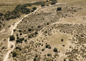 Big Tech Has a Water Problem. AI Is Making It Worse, Report Says.