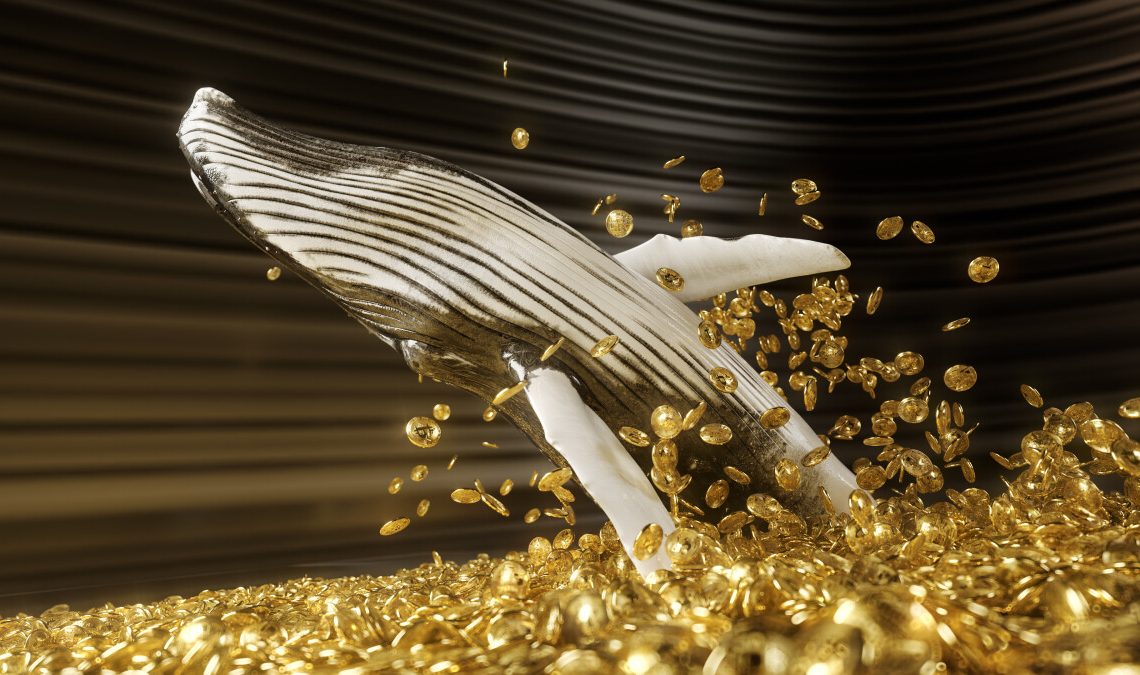 Crypto Whales are Quietly Accumulating This Crypto Coin – What Do They Know?