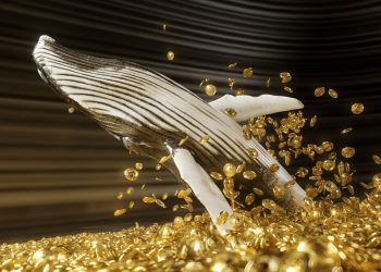Crypto Whales are Quietly Accumulating This Crypto Coin – What Do They Know?