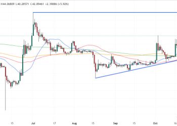 Is the Bullish Rally Set to Continue?