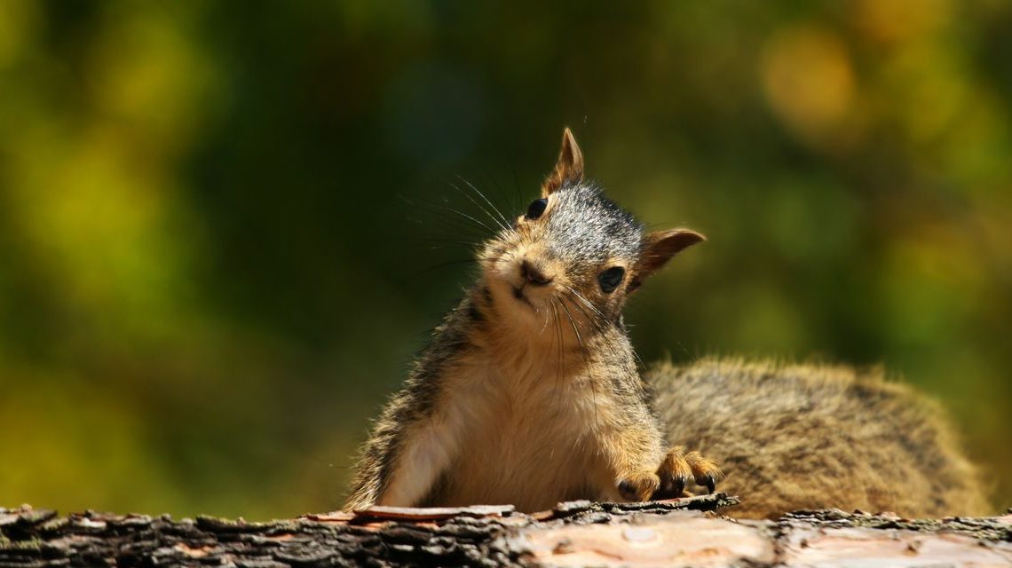 7 more ways to save that you may not have considered