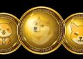NuggetRush Putting Dog Memes Dogecoin, Shiba Inu, and Floki Inu to Shame