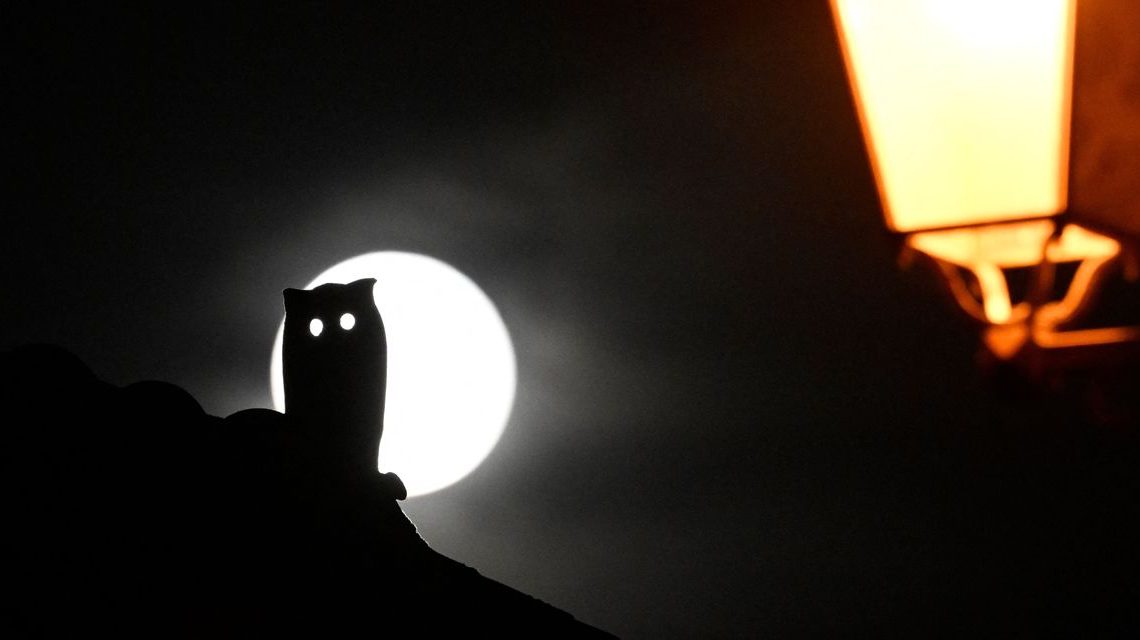 ‘Zombie’ companies already make up 11.5% of U.S. listed stocks