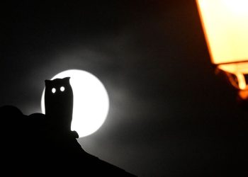 ‘Zombie’ companies already make up 11.5% of U.S. listed stocks