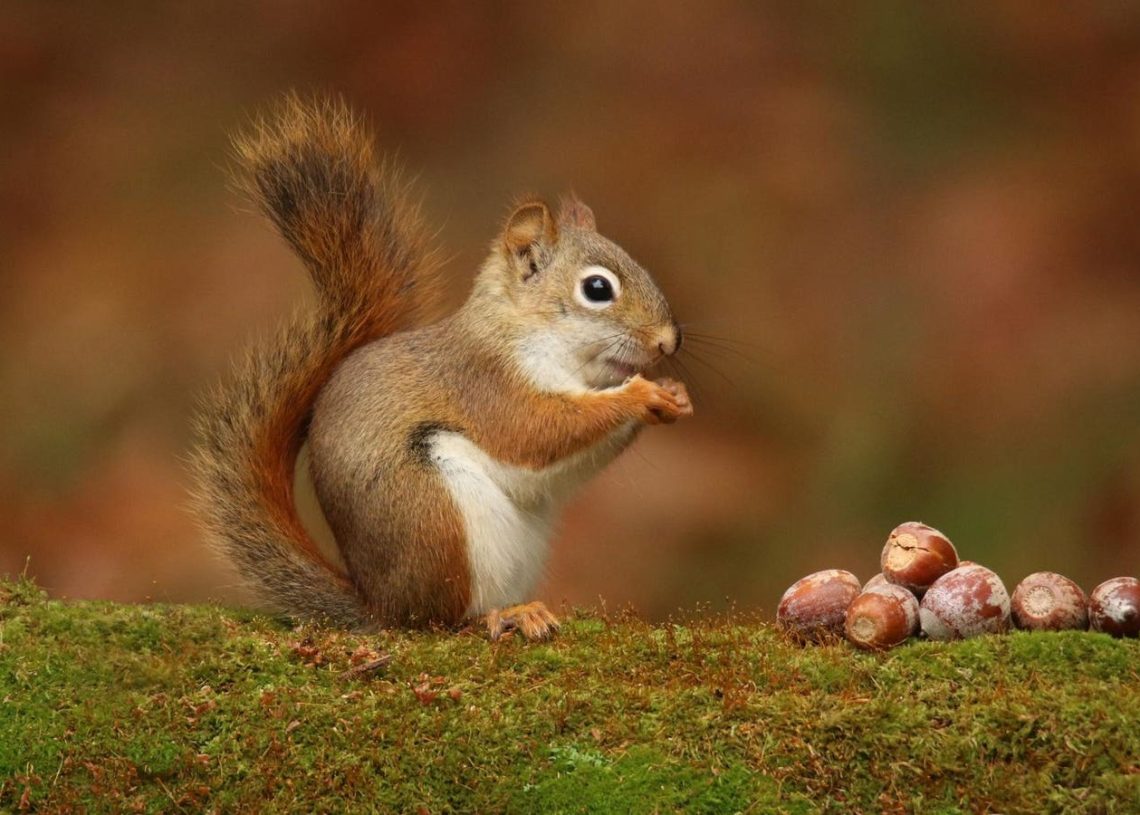 Retirement Saving: 2024 IRS Limits On Qualified 401(k) Plans Affect Nonqualified Plans