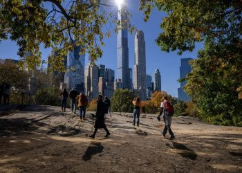 Beware Oversimplification Of Sustainability