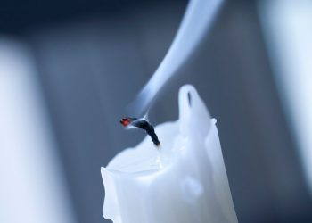 Rally will fizzle out in a week or two, Morgan Stanley strategist Wilson says