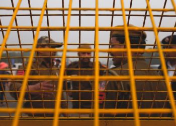 8 Arrested in India in Connection with $300 Million Crypto Fraud