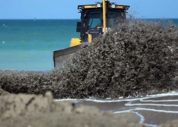 Short-Sighted Post-Earnings Selling Creates Buying Opportunity In Great Lakes Dredge & Dock (GLDD)