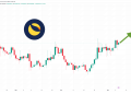 Terra Luna Classic Price Prediction as Market Volatility Increases – Are Traders Still Bullish?