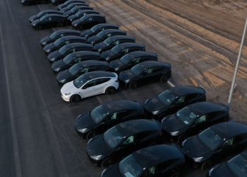 Tesla Stock Bulls and Bears: This Number Is What Separates Them