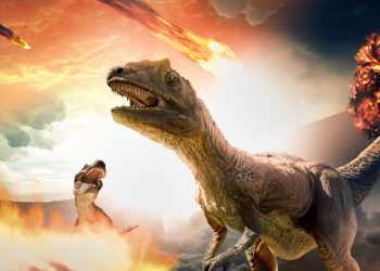 What’s behind the gloomiest economics view on Wall Street