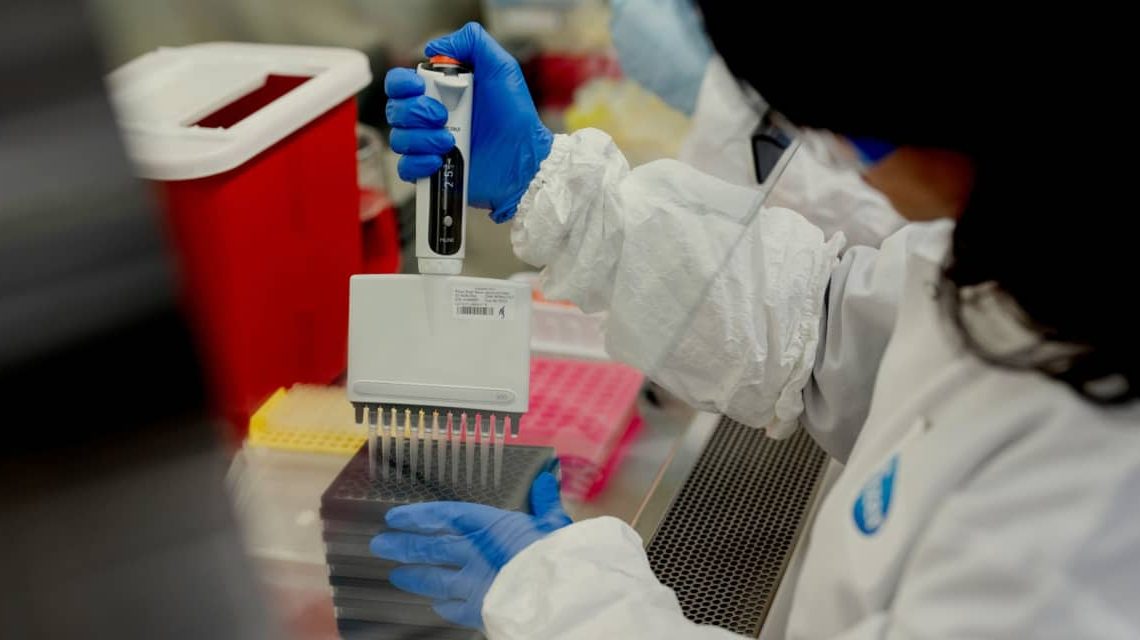 Pharma Is Out of Favor. 5 Drug Stocks With Room to Grow.