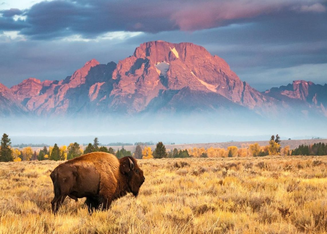 What Is The Richest City In Wyoming? Latest Census Data Reveals The Details