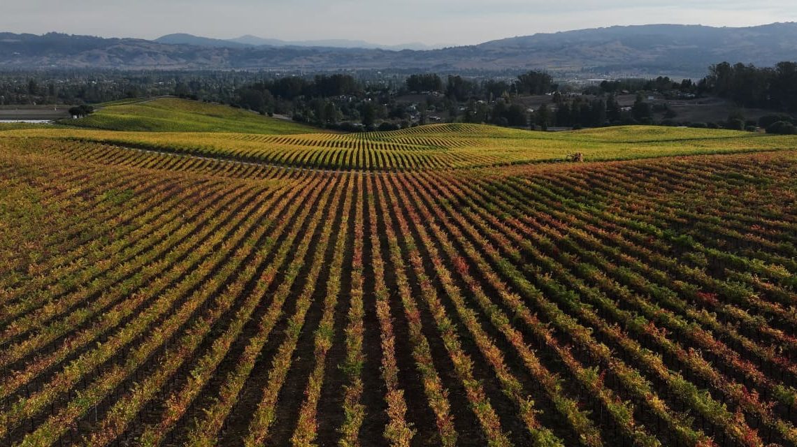 Duckhorn to buy Sonoma-Cutrer Vineyards for $400 million in big chardonnay play