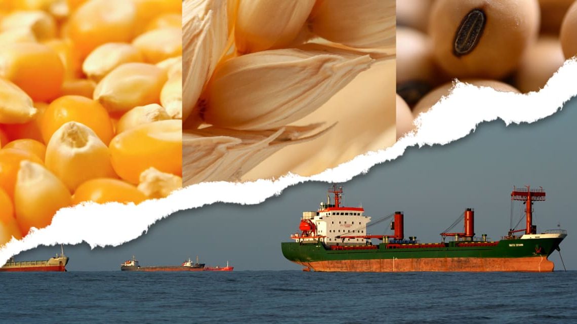 Drop in grain prices may lead to stronger corn and soybean demand, tighter wheat supplies