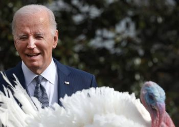 White House tackles age concerns on Biden’s 81st birthday: ‘It’s about the president’s experience’