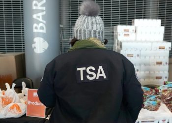 Flying with food this Thanksgiving? Here are the rules, according to the TSA.
