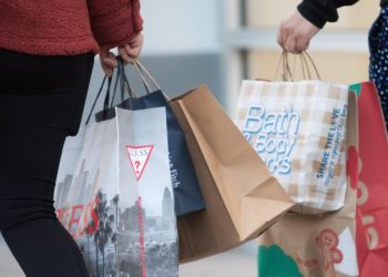 Energized shoppers break one-day holiday sales record