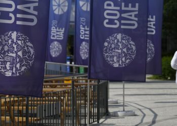 Opinion: Leaders at COP28 already have this strong weapon to fight climate change. They should use it.