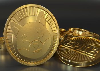 The Emerging Challenger Set to Outpace Shiba Inu and PEPE in the Meme Coin Realm