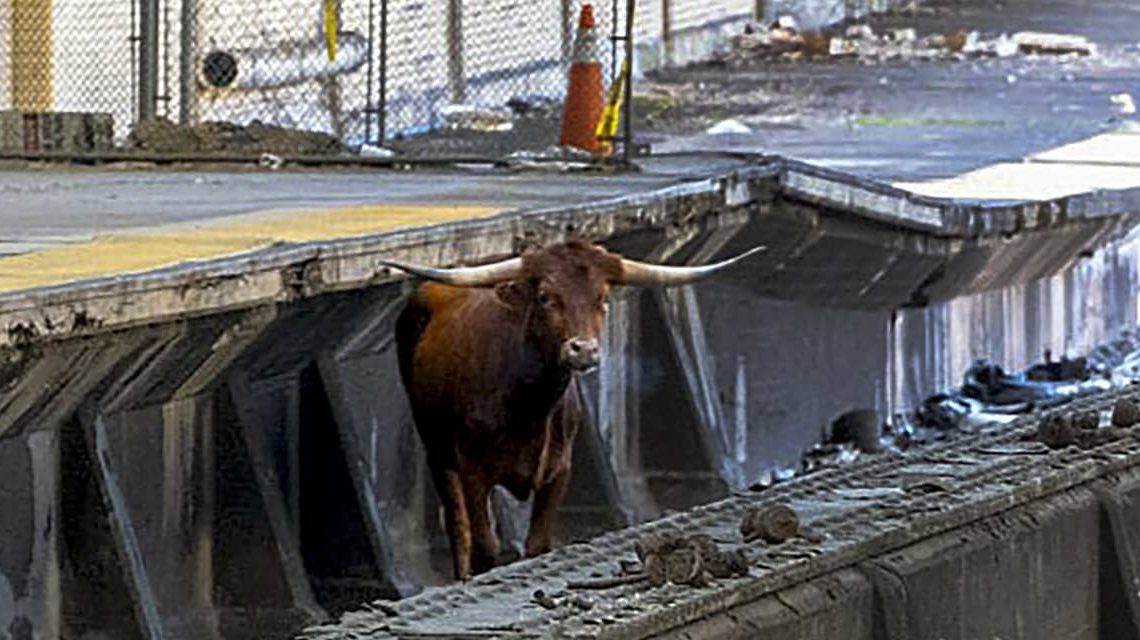 The Bulls Are Back. They May Not Like the Reasons Why the Fed Is Easing.