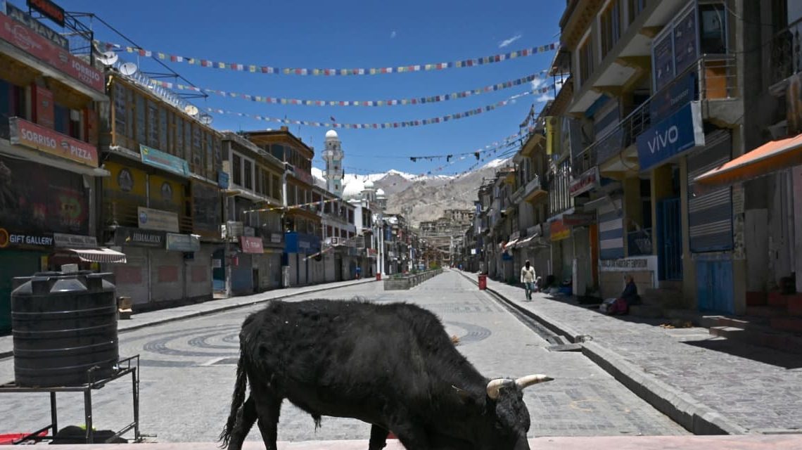 Resurgent ‘animal spirits’ in financial markets may undermine Fed’s inflation battle, Nomura says