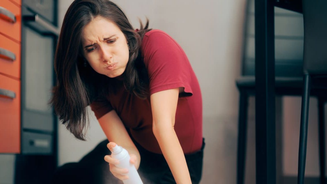 ‘I’m so freaked out’: I’m buying a house, but the home inspector found dead cockroaches and rat droppings. Should I bail?