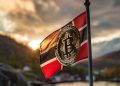 Craig Wright Drops Norway Appeal On Satoshi Nakamoto Claims