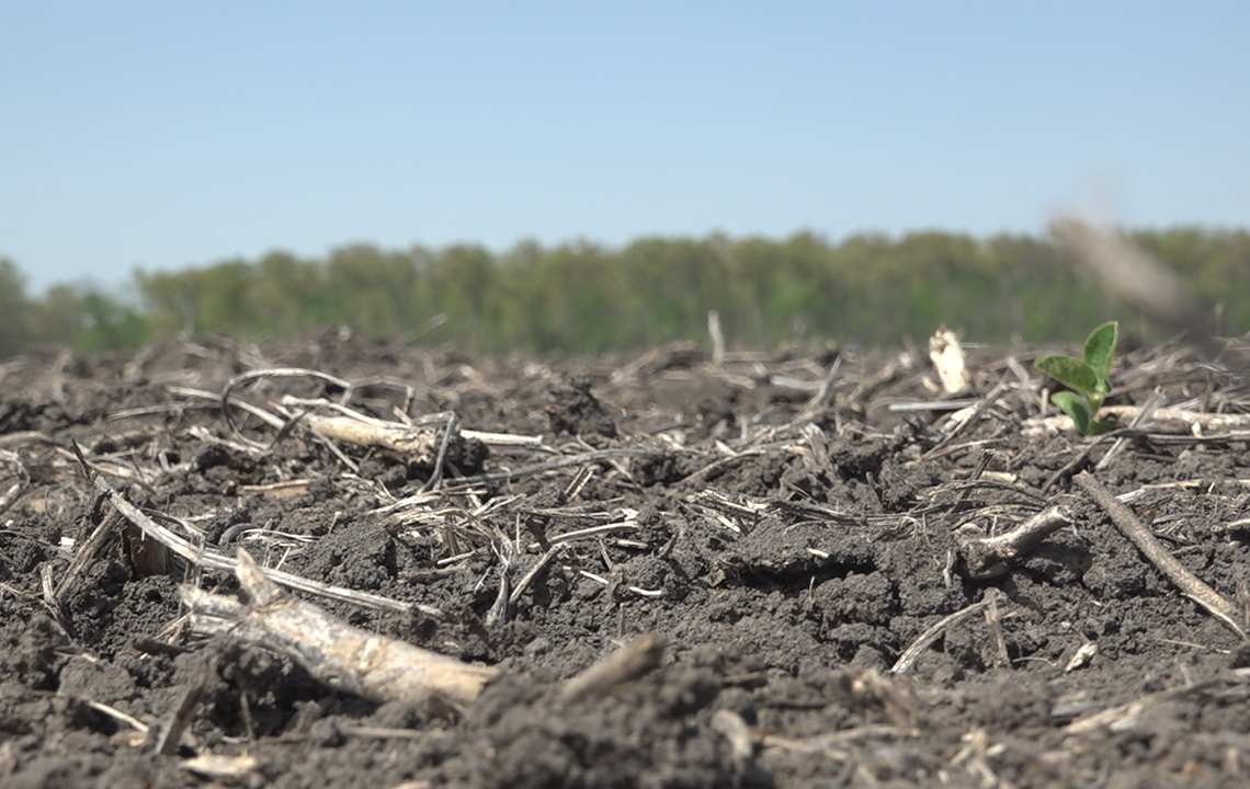 Inflation pushing next generation farmers out of the business: 'Can’t believe what things cost'