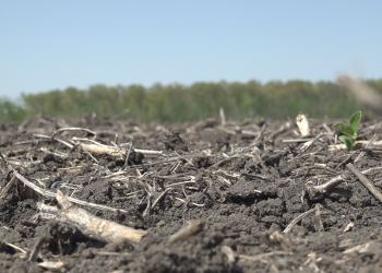 Inflation pushing next generation farmers out of the business: 'Can’t believe what things cost'