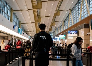 Government hiring spree propping up the US job market