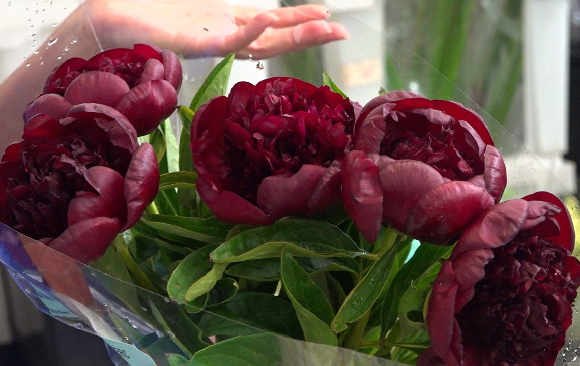 Inflation driving a thorn into wedding plans, with budding newlyweds trimming flowers from their budgets