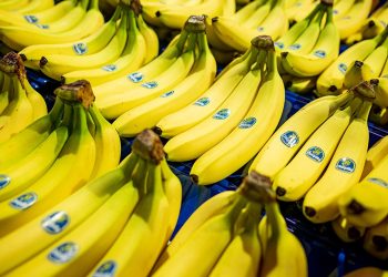 US grocery stores could be without popular fruit within weeks as 45,000 dockworkers threaten to strike