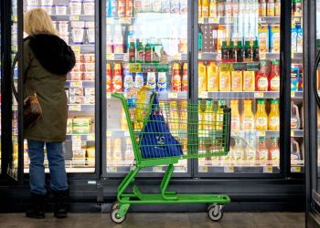 Why was the economy the top issue in the election?