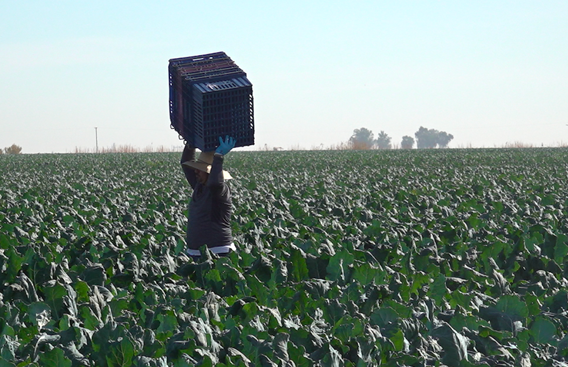 Shrinking Colorado River will take a toll on the nation's food supply
