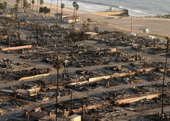 Which insurance companies have the most exposure in California?