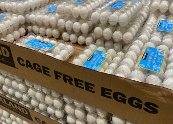 Border Patrol sees uptick in egg smuggling on southern border amid skyrocketing prices
