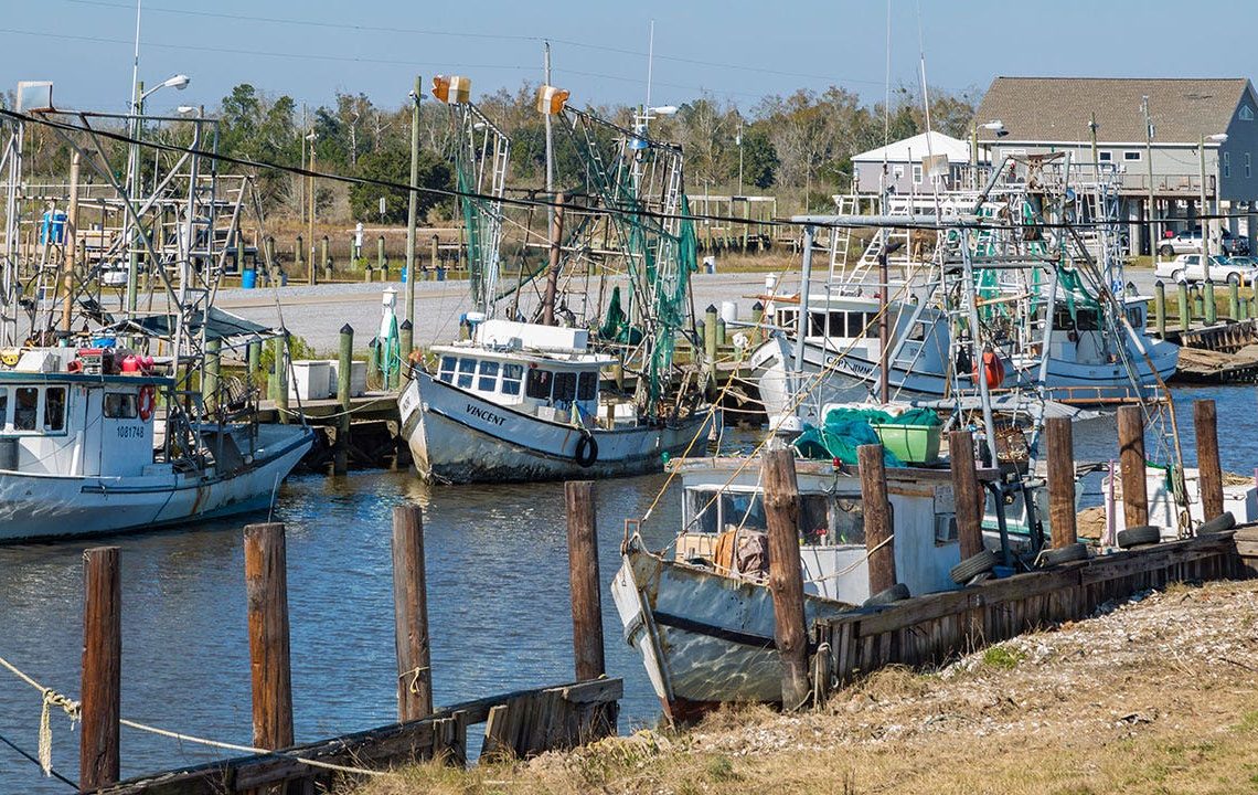 Trump tariffs appreciated by US shrimpers: 'threw us a lifeline'
