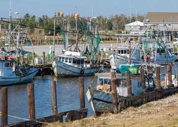 Trump tariffs appreciated by US shrimpers: 'threw us a lifeline'